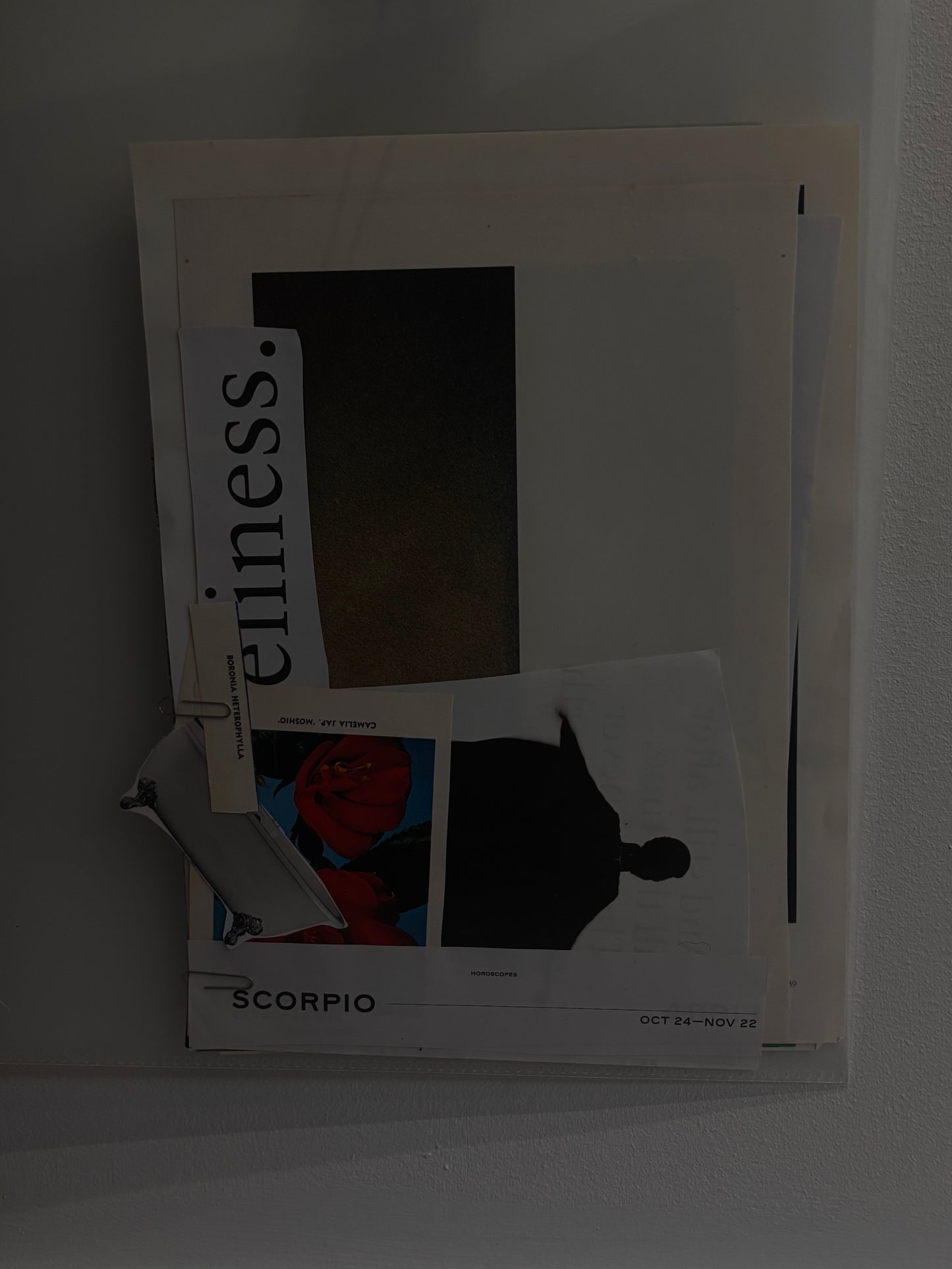 Paper Pack 04